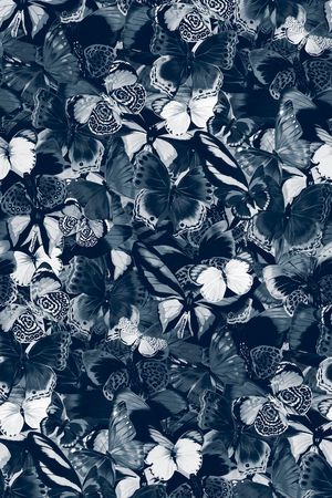 蝴蝶印花华亿平台图片