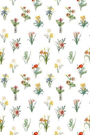 女装印花华亿平台图片