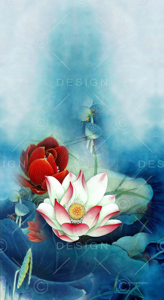 荷花印花华亿平台图片