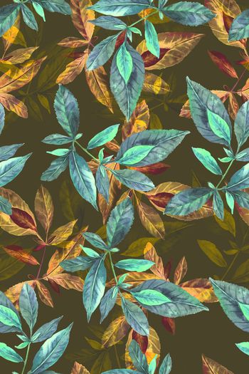 861500-1706005b 叶子