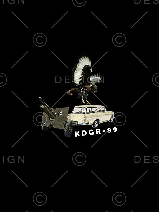 老鹰印花华亿平台图片