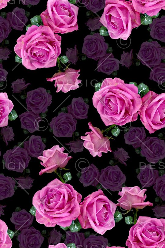 玫瑰印花华亿平台图片