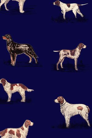 动物印花华亿平台图片