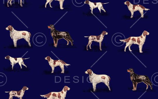 动物印花华亿平台图片