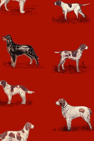 动物印花华亿平台图片