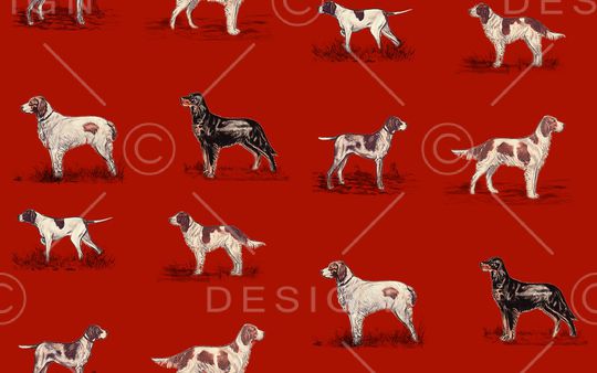 动物印花华亿平台图片