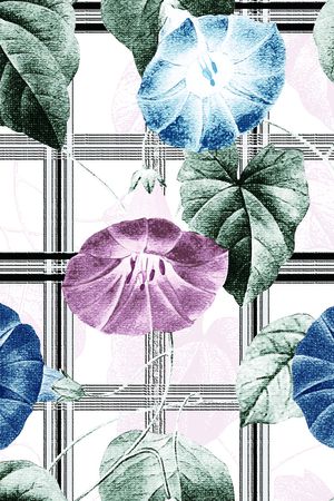 牵牛花印花华亿平台图片