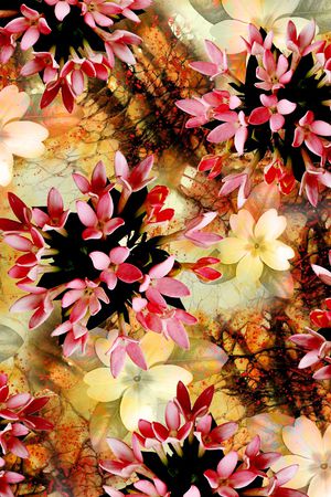 大花印花华亿平台图片