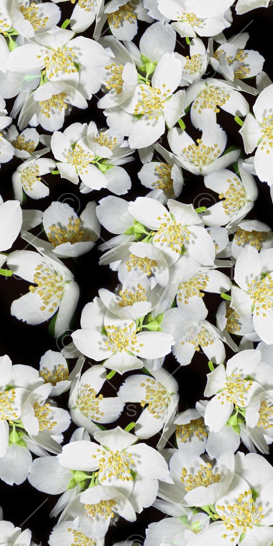 乱花印花华亿平台图片