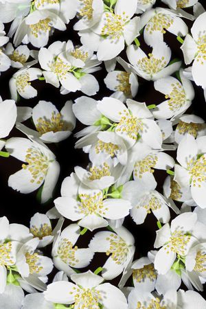 乱花印花华亿平台图片