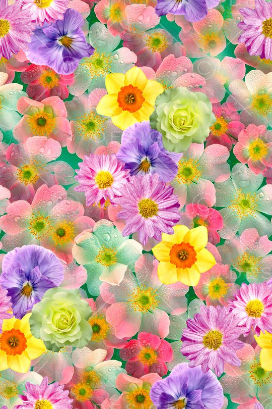 时尚印花华亿平台图片