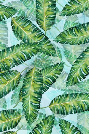 棕榈叶印花华亿平台图片