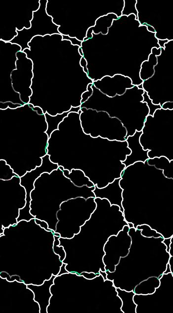 创意服装面料印花华亿平台图片