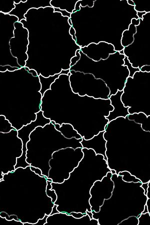 创意服装面料印花华亿平台图片