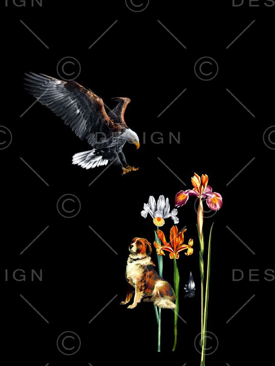 老鹰印花华亿平台图片