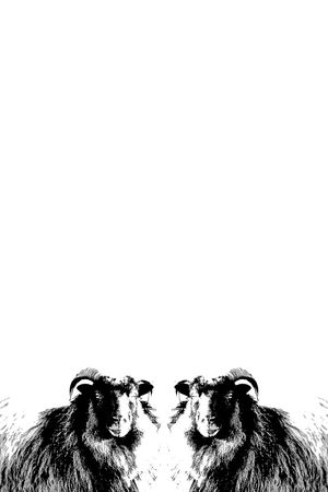 山羊印花华亿平台图片