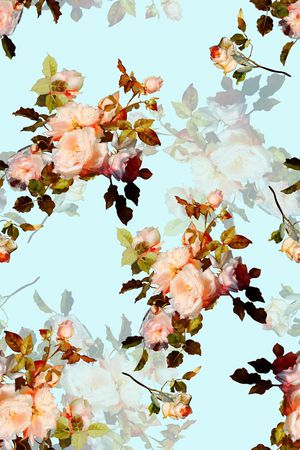 女装满版印花华亿平台图片