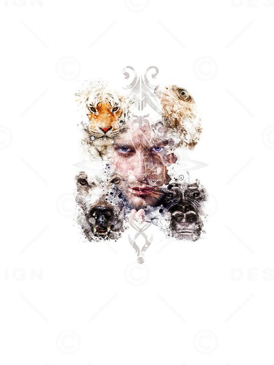 动物印花华亿平台图片