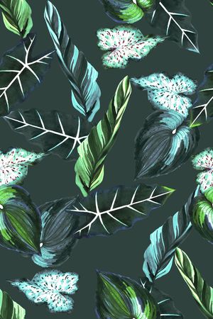 暗黑时尚印花华亿平台图片