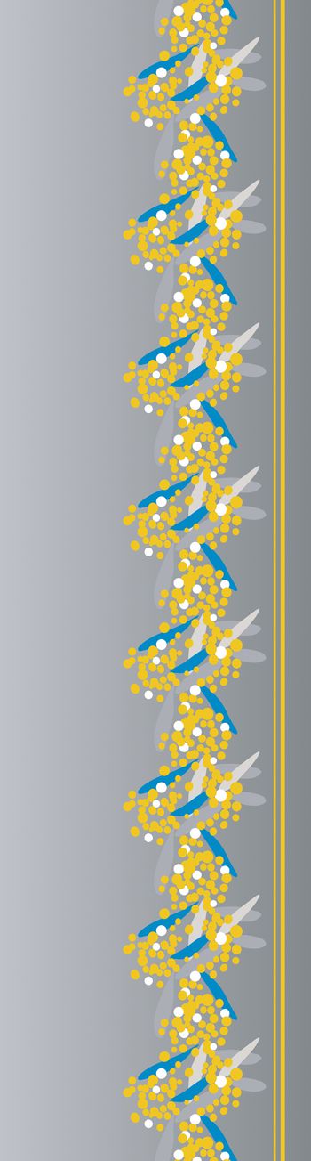围巾图案印花华亿平台图片