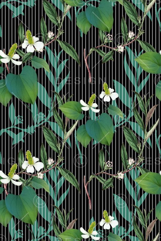 热带印花华亿平台图片