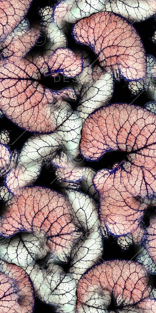 数码印花印花华亿平台图片