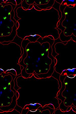 衬衫印花华亿平台图片