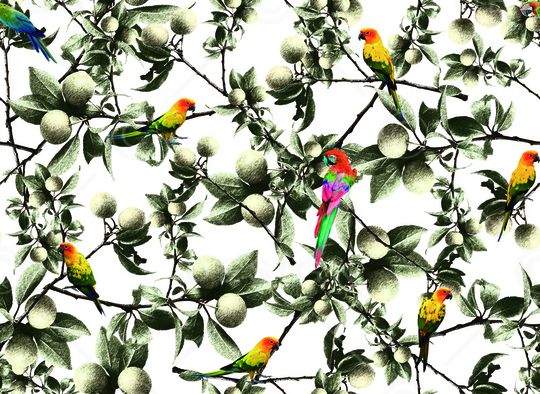 印花华亿平台图片