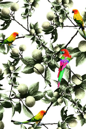 印花华亿平台图片