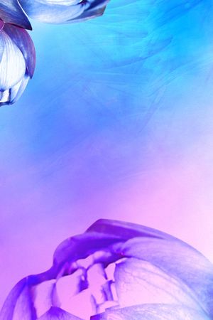 朦胧印花华亿平台图片