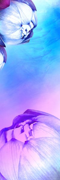 朦胧印花华亿平台图片