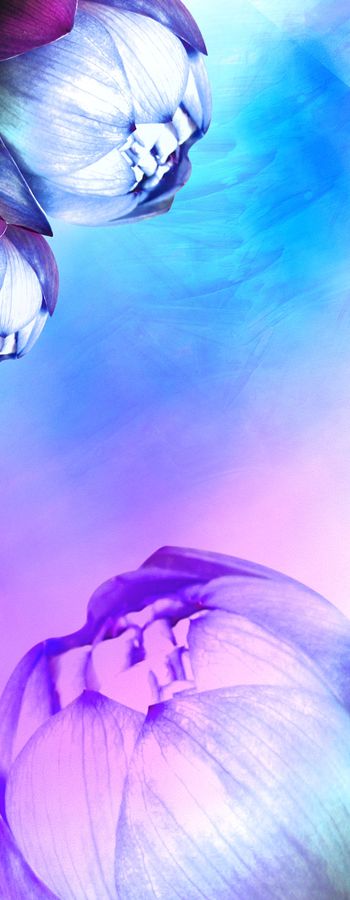 朦胧印花华亿平台图片