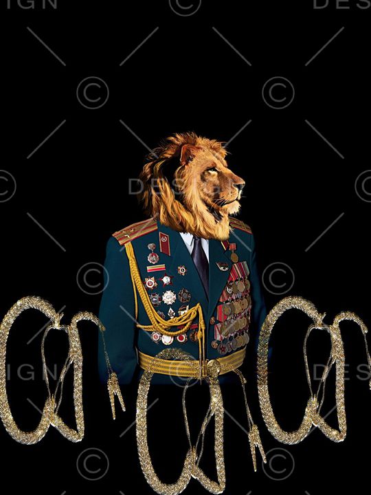 狮子头印花华亿平台图片