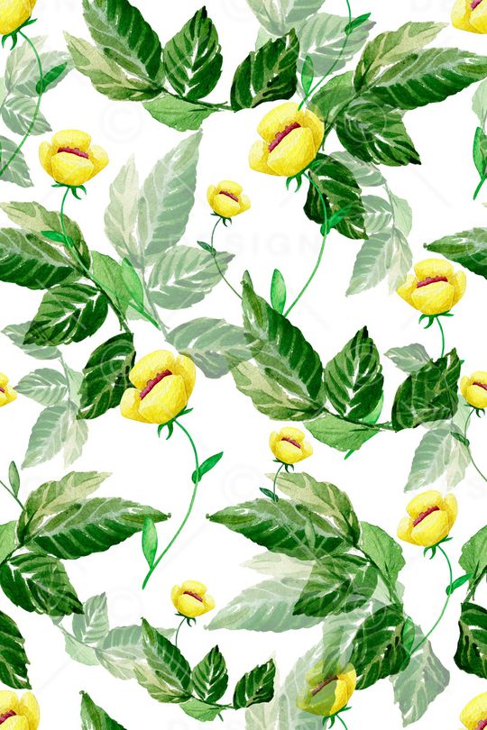 昆虫印花华亿平台图片