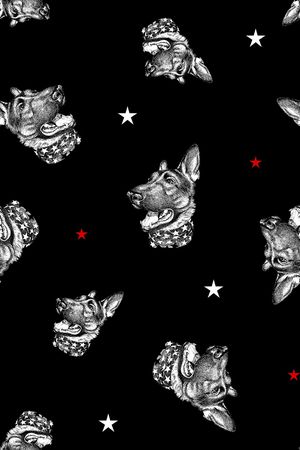 狗狗印花华亿平台图片