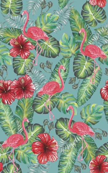 866904-20170608 tropical