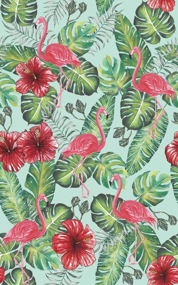 866905-20170608 tropical