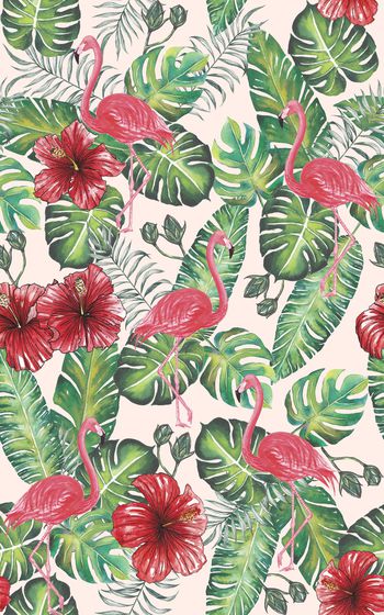 866906-20170608 tropical