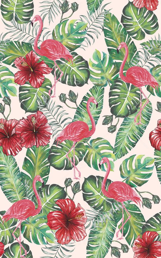 棕榈叶印花华亿平台图片