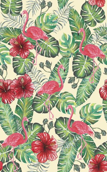 866909-20170608 tropical