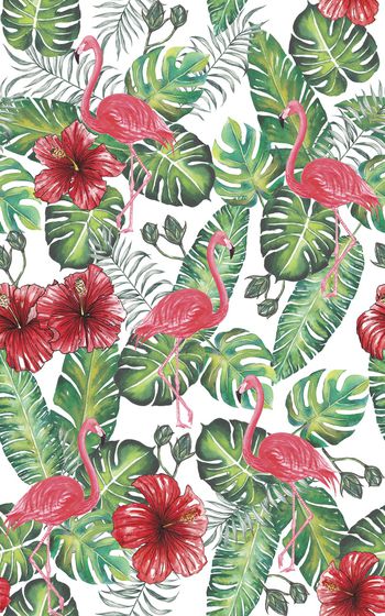 866910-20170608 tropical