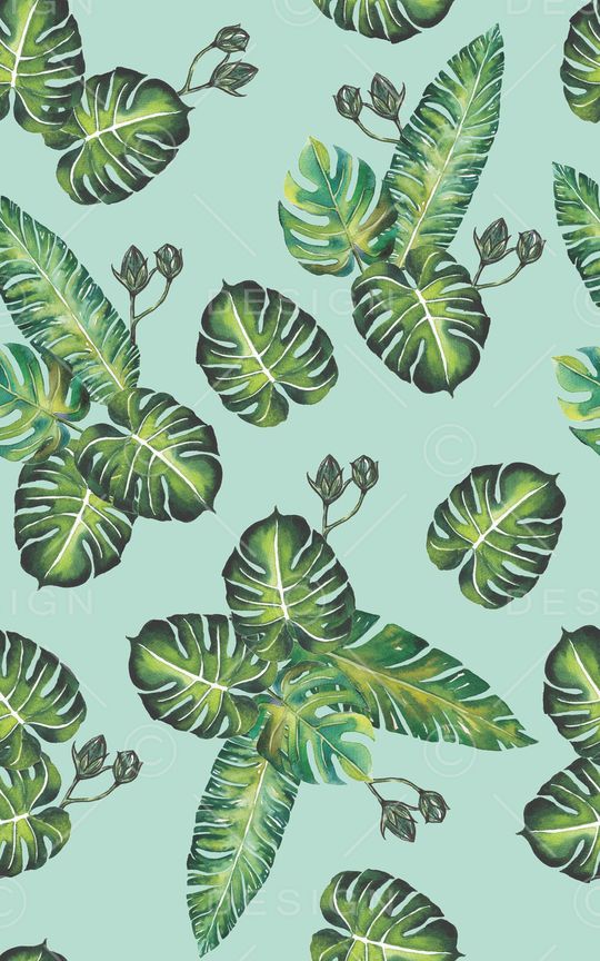 龟背竹印花华亿平台图片