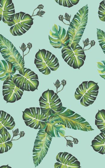 867148-20170608 tropical