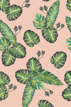 龟背竹印花华亿平台图片