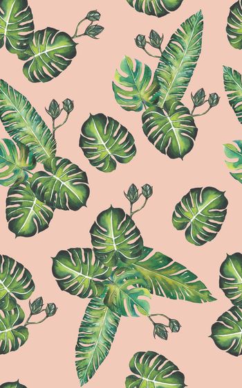 867149-20170608 tropical