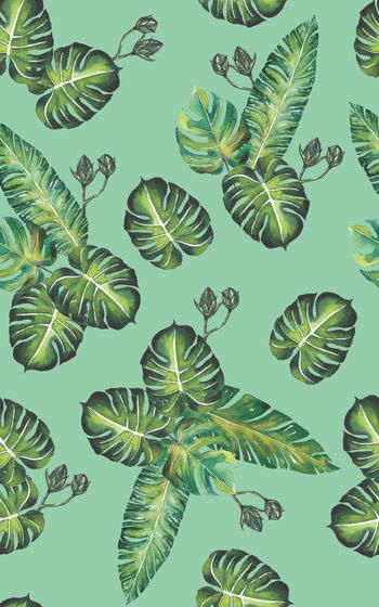 867150-20170608 tropical