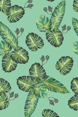 龟背竹印花华亿平台图片