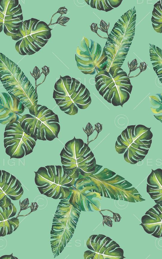 龟背竹印花华亿平台图片