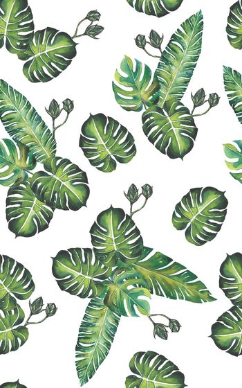 867158-20170608 tropical