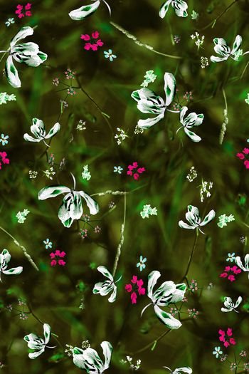 867257-FLZ17-6-12...